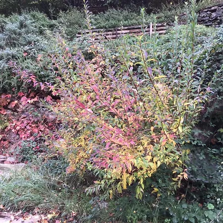 Mas Graffouil דירה