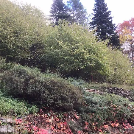 Mas Graffouil דירה