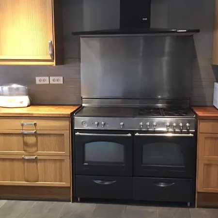 Mas Graffouil דירה *